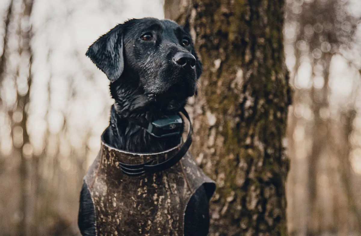 Dog Vest - First Lite Cache™