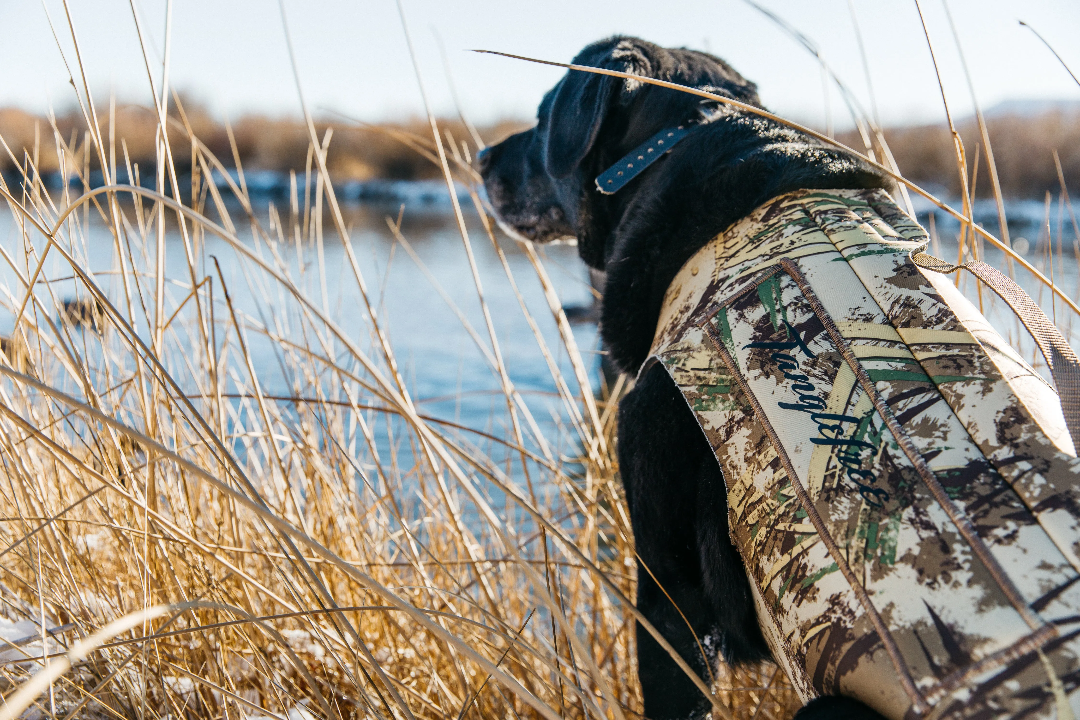 Dog Vest - First Lite Typha™