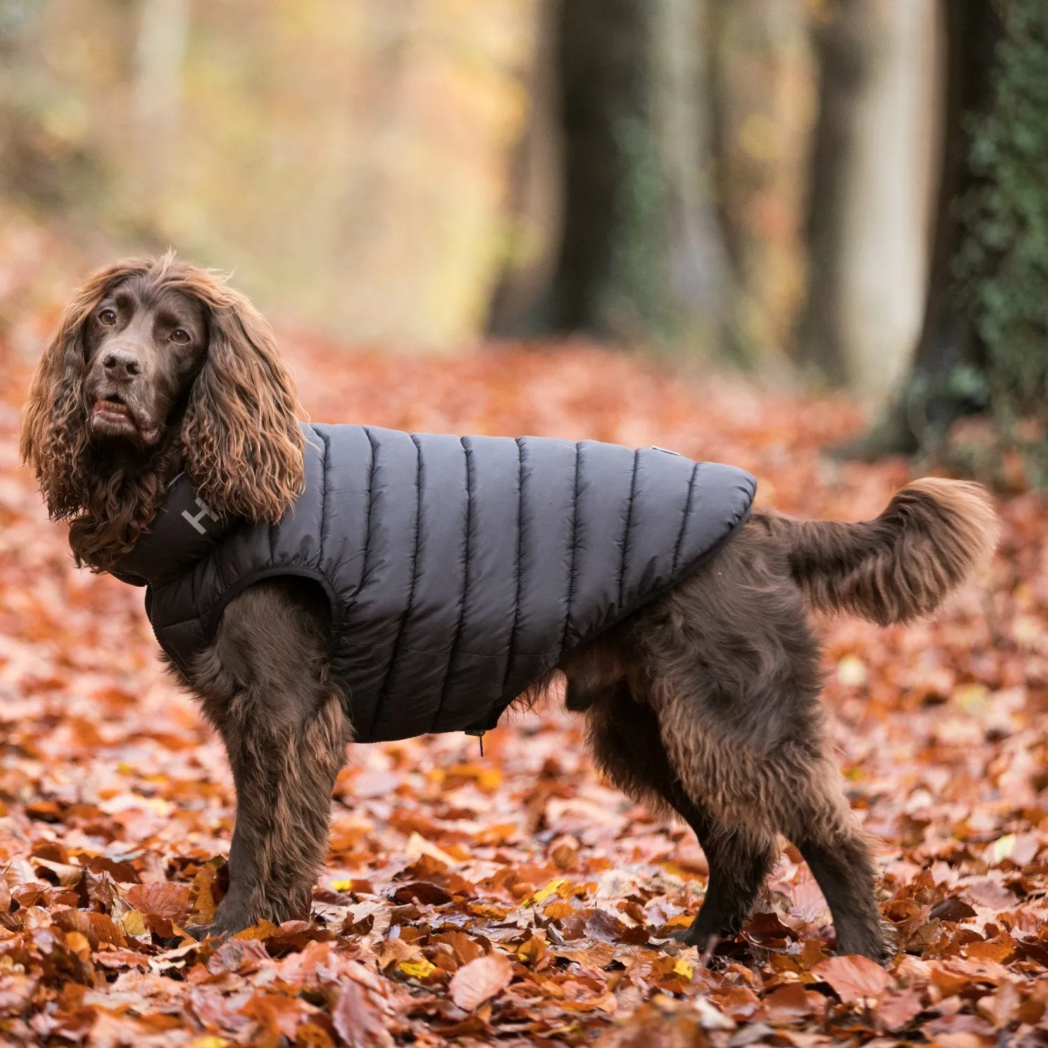 Hugo & Hudson Puffer Jacket for Dogs