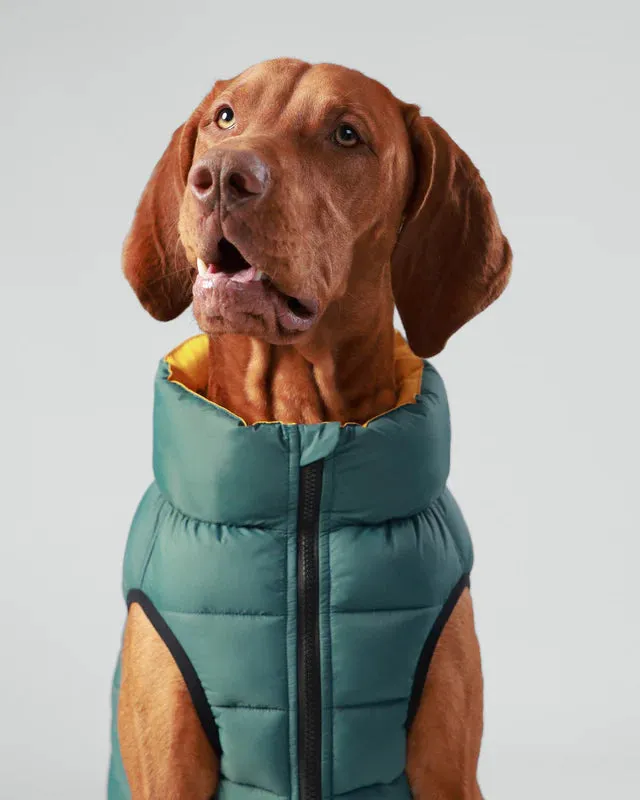 Hugo & Hudson Puffer Jacket for Dogs