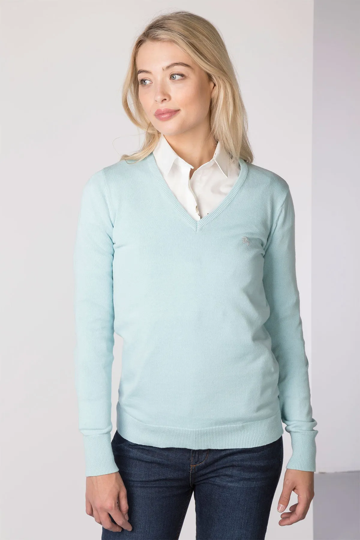 Ladies V Neck Jumper